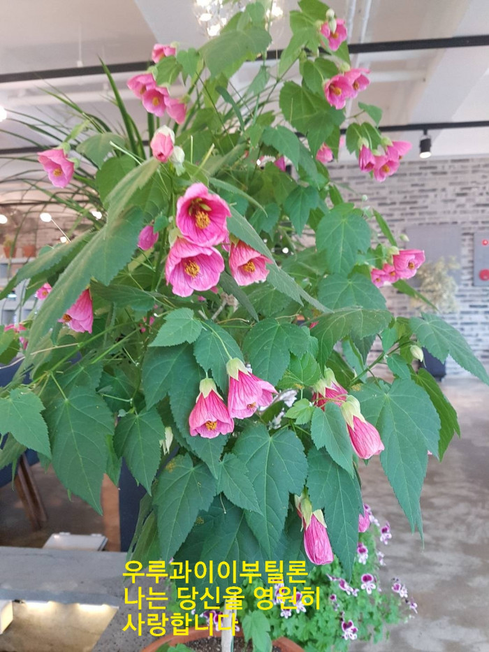 190430_ti_free_0225cb644ffa086881eda1731