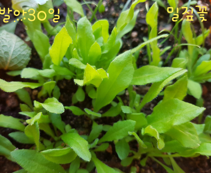 190501_ti_free_9251cc726b78034b5fa108cf5