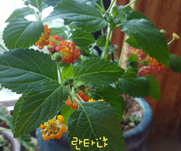 190518_ti_free_5c1b771e8149503b22b7b9954