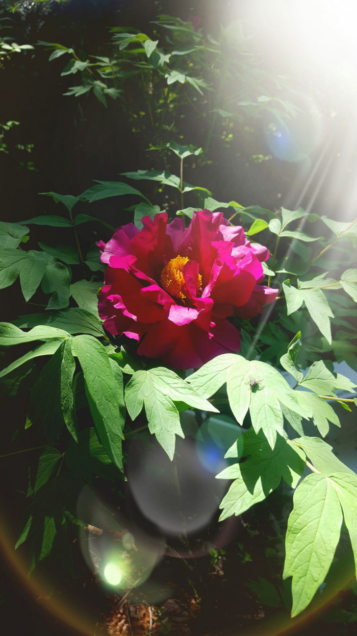 190604_ti_free_5a75551bfa7c4e0469ea835f1