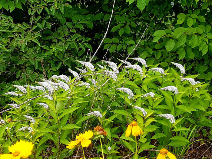 190620_ti_free_9cb954055b7ea19223d495ae2