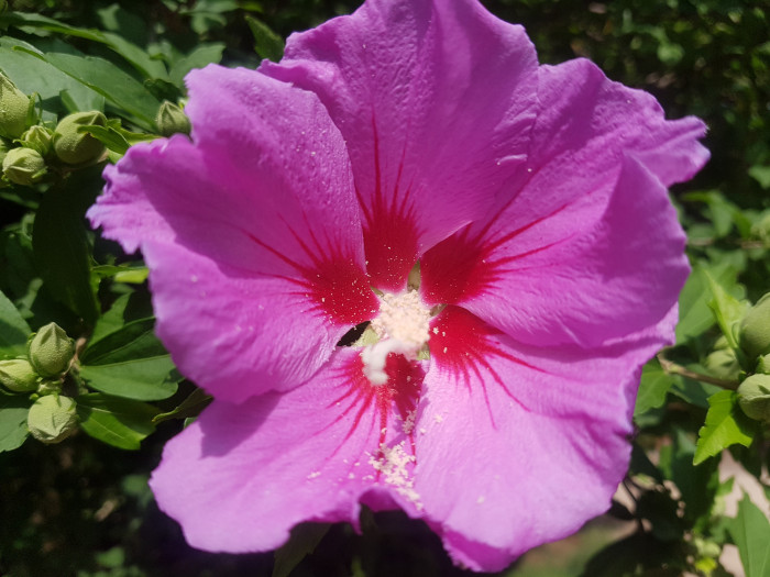 190624_ti_free_ba8d60dc26ec486946bc06231