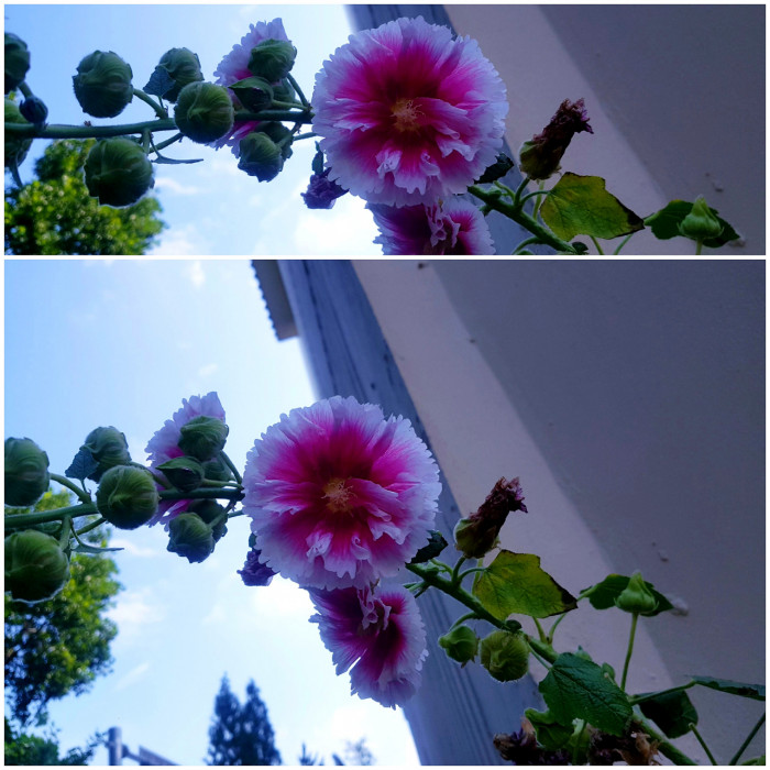 190626_ti_free_85e01e899ced5199022851e57