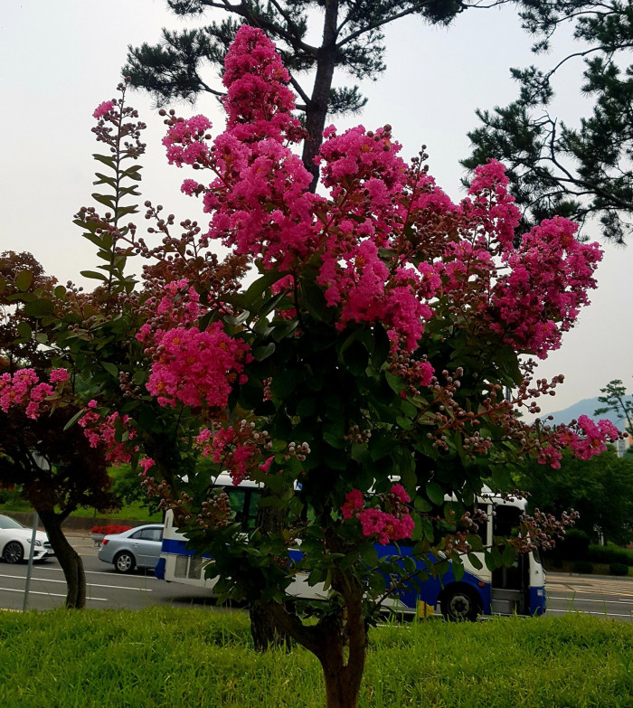 190703_ti_free_bf6527ea4f60d76727a16cd7a