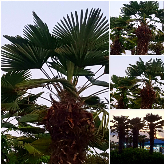 190819_ti_free_f7b024725d11bc9441d09feb7