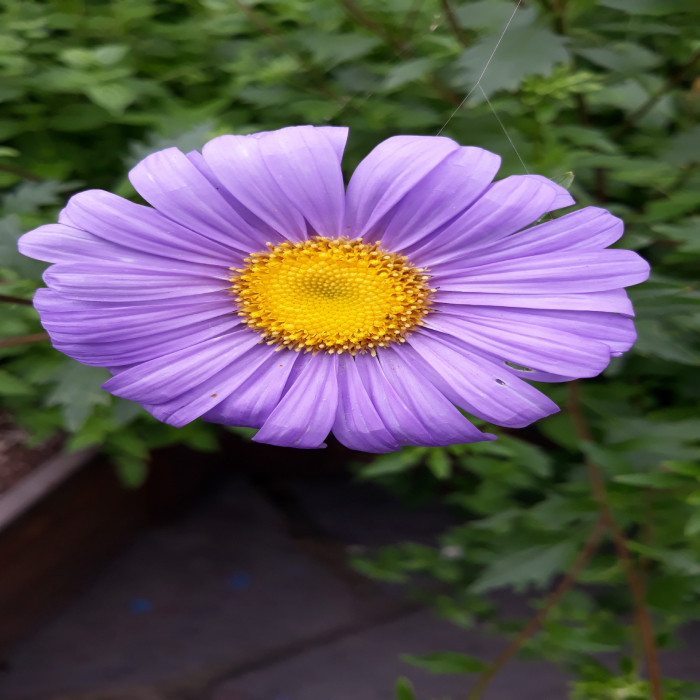 191003_ti_free_fd2d312e65e66508bfd87c4ad