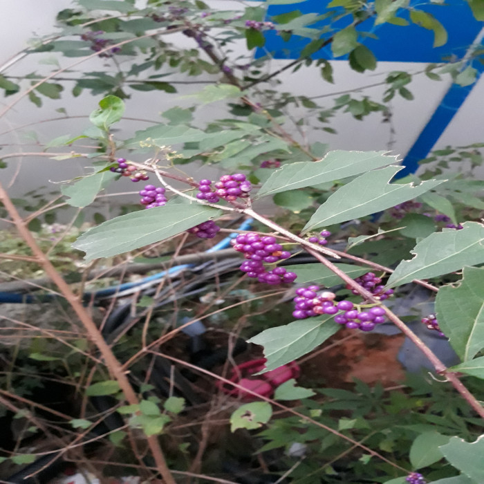 191009_ti_free_59d1bdcbe39183b3ef130311b