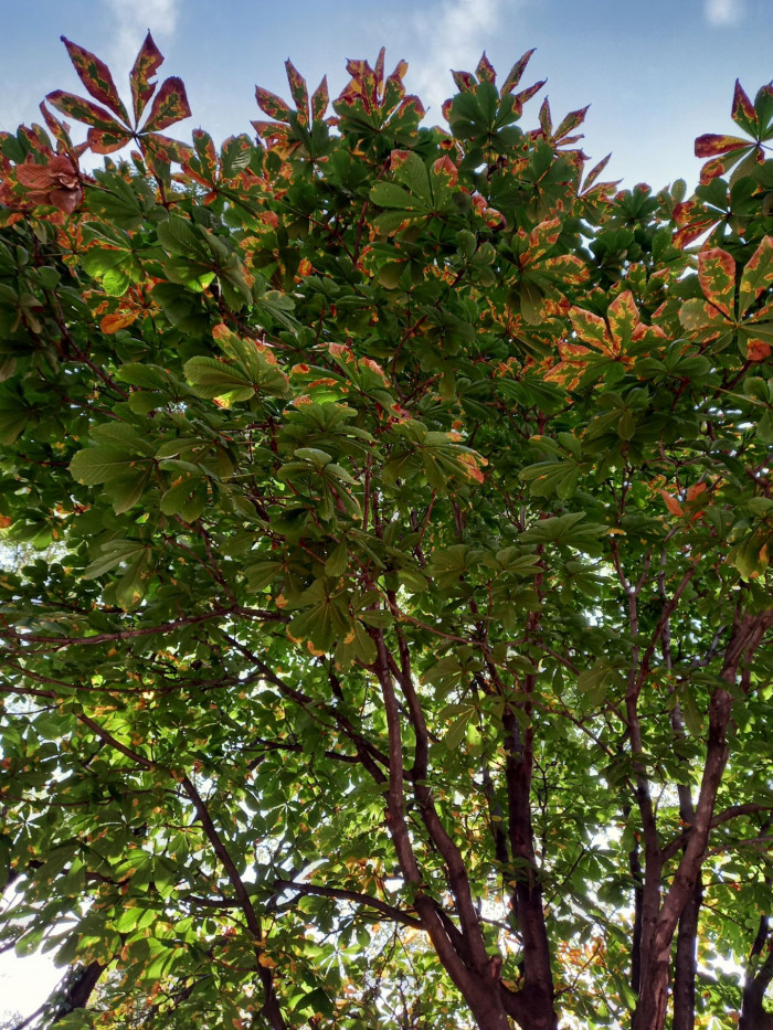 201001_ti_free_05ff735e4a2724956ccedd8c4