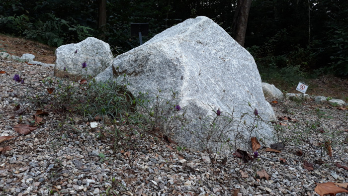 201010_ti_free_6bb3315d0149f8f5b96ca6f15