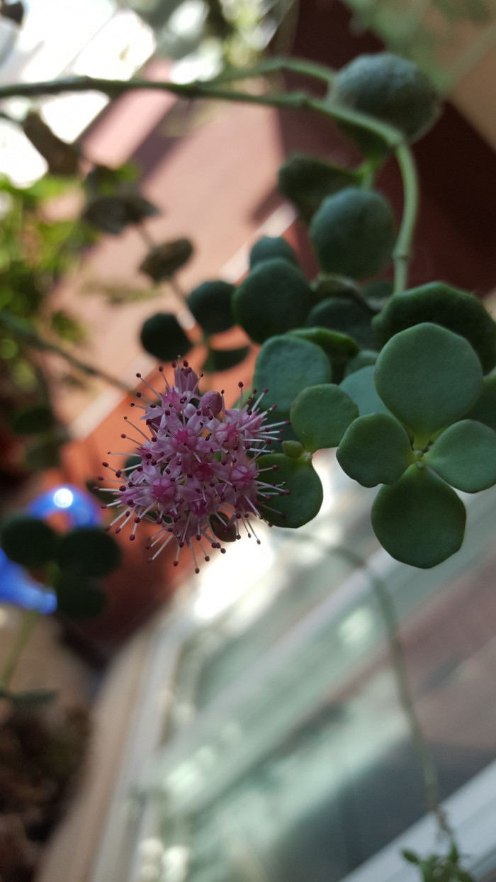 201229_ti_free_ffbb4200f67b9541652ab25d7