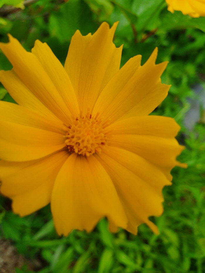 28a026571077bb8ff9df6f57546a5f1a_1623068