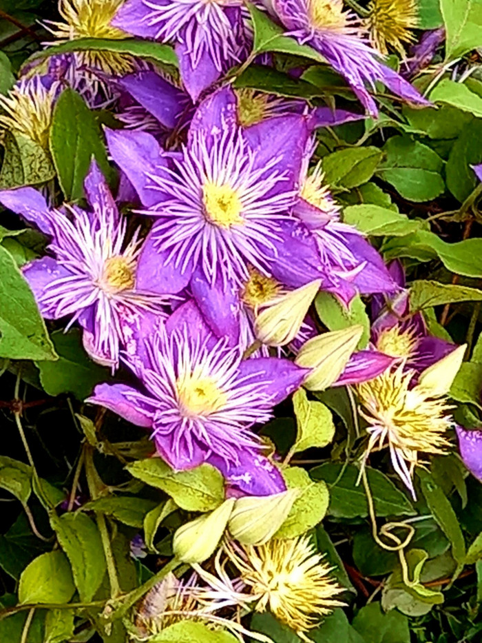 210709_ti_free_c413777ec3698277f0a24bb4f