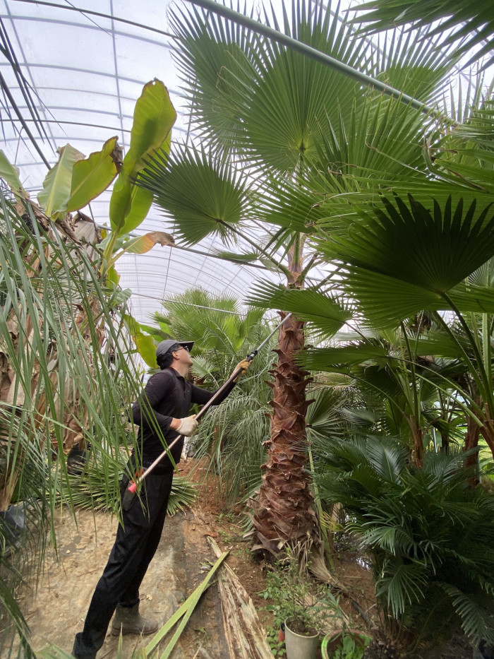 d54ba5365eafe75d1a33059e6006b50b_1761821