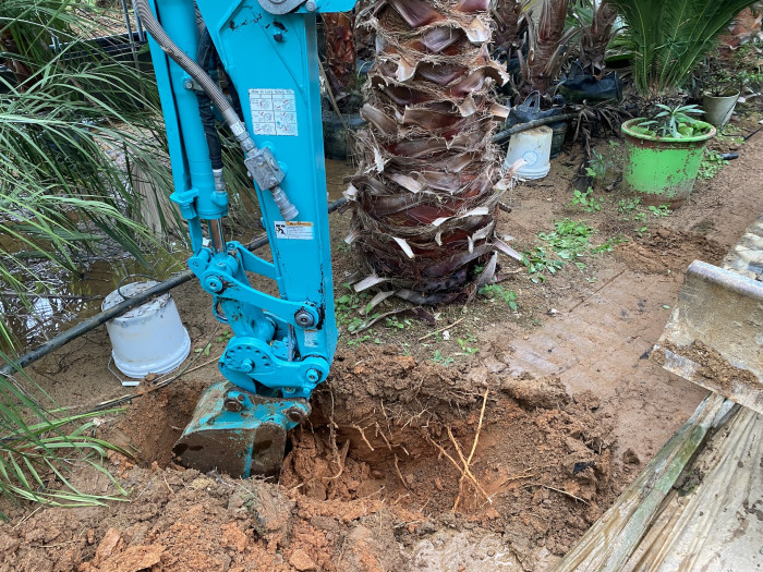 d54ba5365eafe75d1a33059e6006b50b_1761821