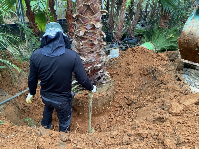 d54ba5365eafe75d1a33059e6006b50b_1761822