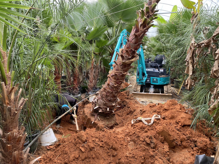 d54ba5365eafe75d1a33059e6006b50b_1761822