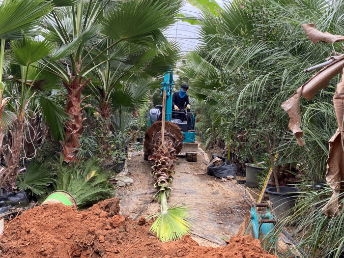 d54ba5365eafe75d1a33059e6006b50b_1761822