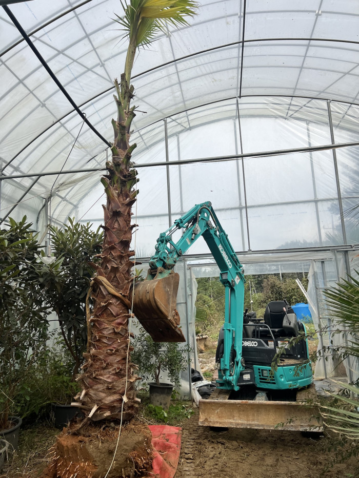 d54ba5365eafe75d1a33059e6006b50b_1761822