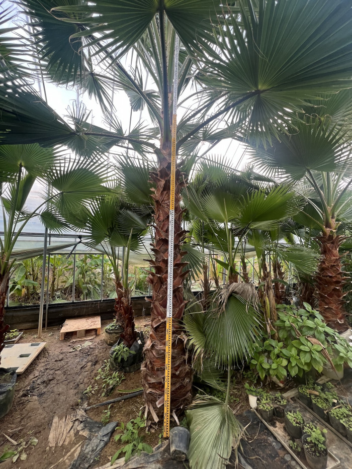 d54ba5365eafe75d1a33059e6006b50b_1762079