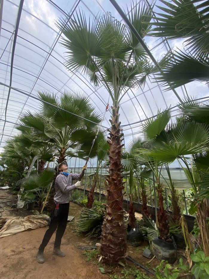 d54ba5365eafe75d1a33059e6006b50b_1762079