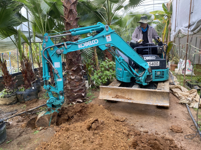 d54ba5365eafe75d1a33059e6006b50b_1762079