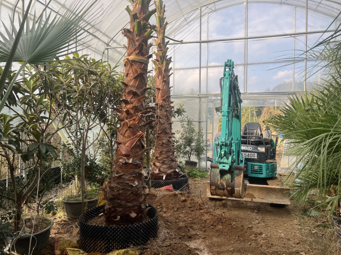 d54ba5365eafe75d1a33059e6006b50b_1762079