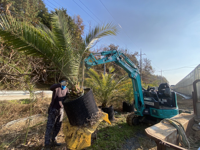 d54ba5365eafe75d1a33059e6006b50b_1763897