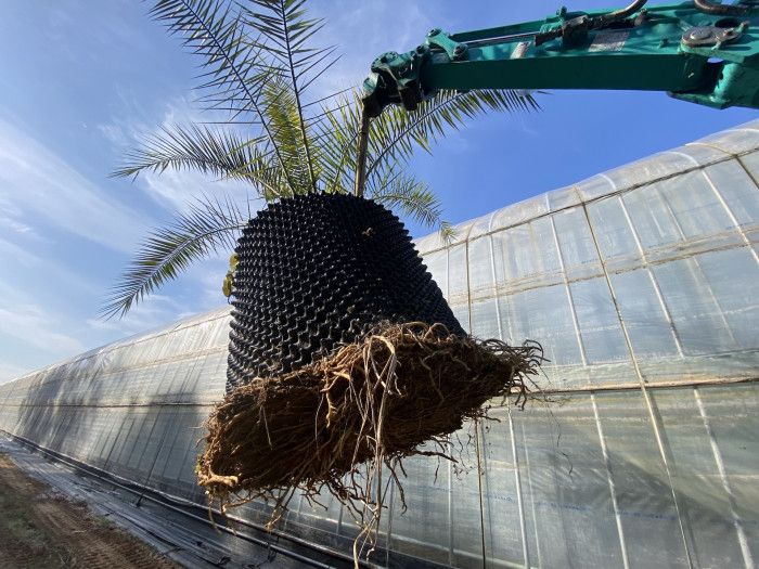 d54ba5365eafe75d1a33059e6006b50b_1763897