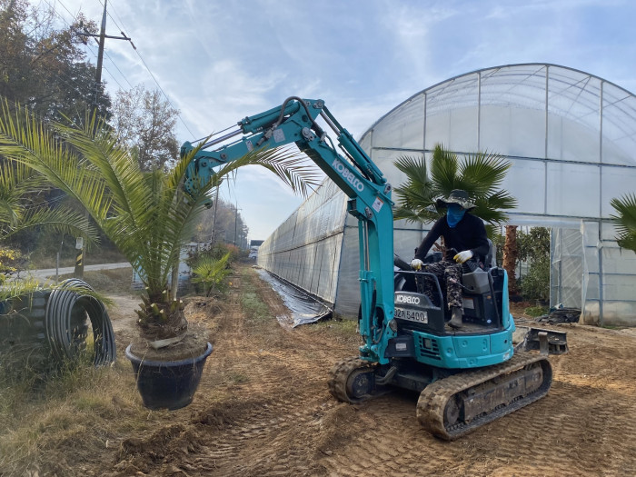 d54ba5365eafe75d1a33059e6006b50b_1763897