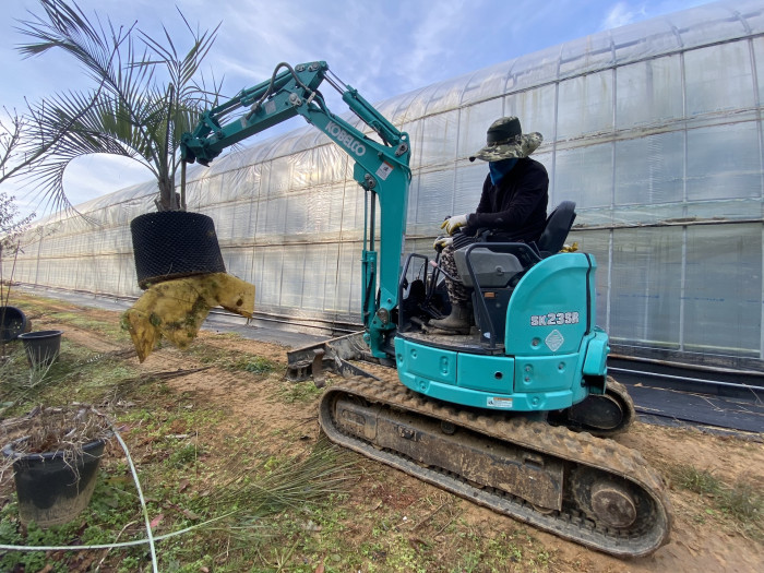 d54ba5365eafe75d1a33059e6006b50b_1763897