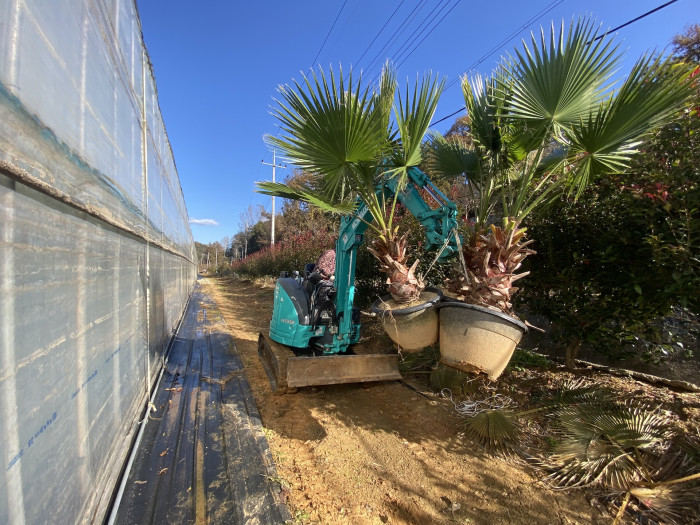 d54ba5365eafe75d1a33059e6006b50b_1763897