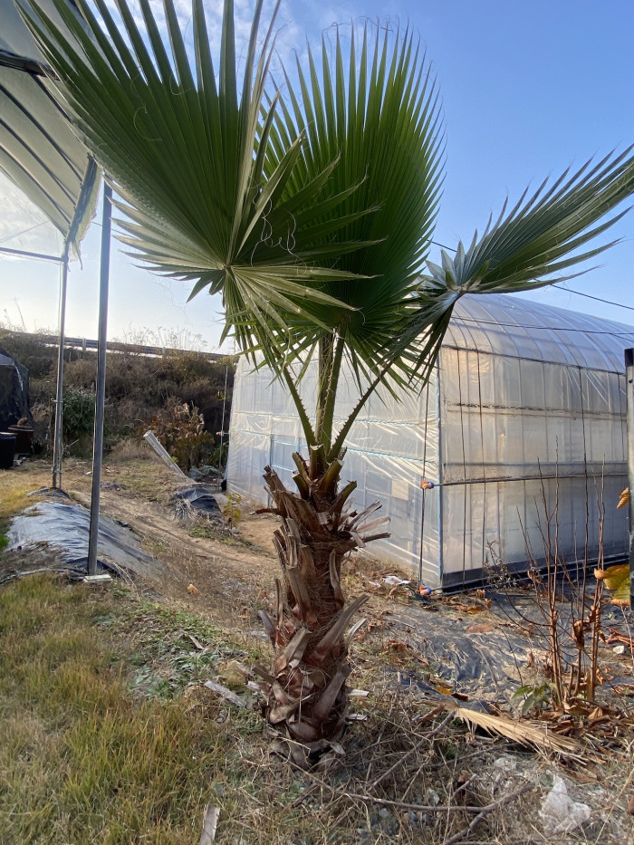 d54ba5365eafe75d1a33059e6006b50b_1763898