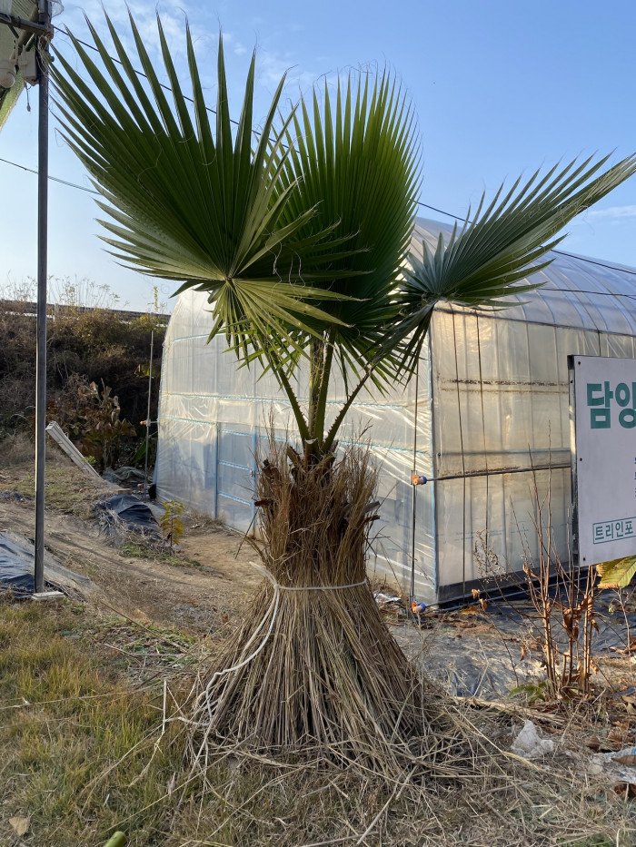 d54ba5365eafe75d1a33059e6006b50b_1763898