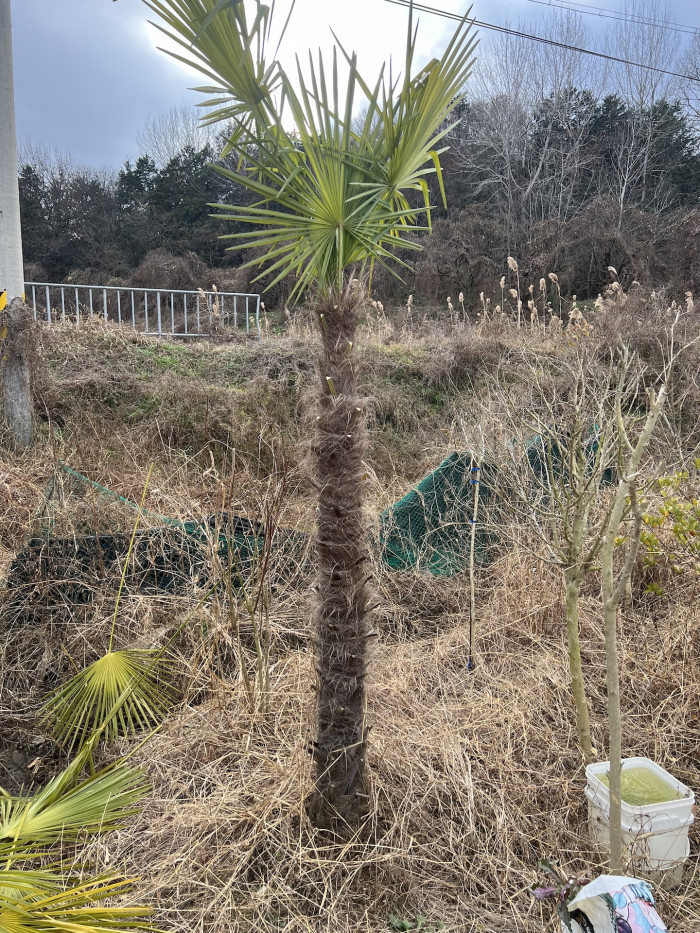 d54ba5365eafe75d1a33059e6006b50b_1765194