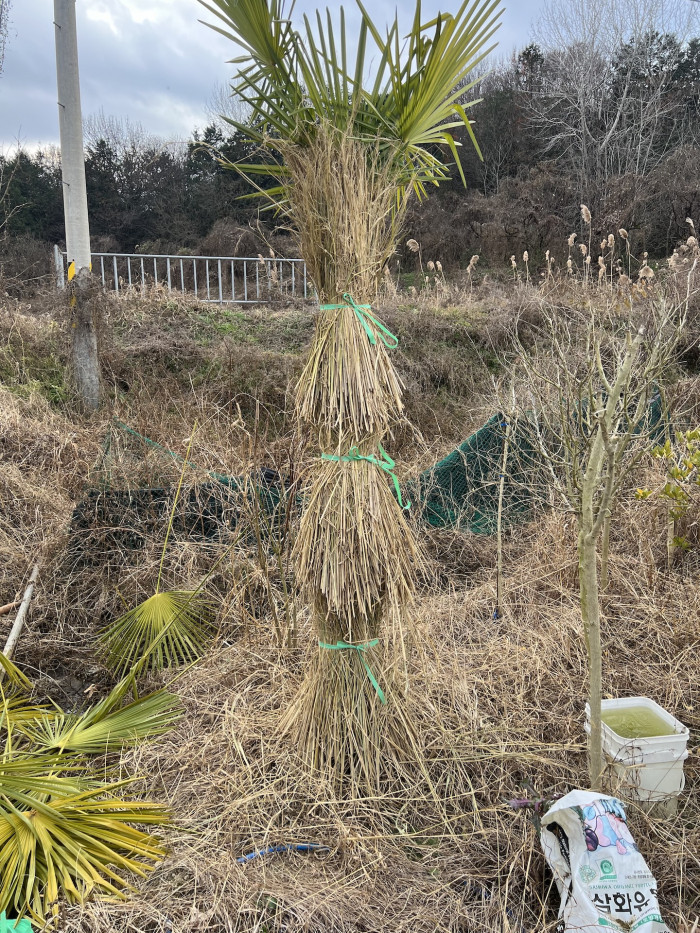 d54ba5365eafe75d1a33059e6006b50b_1765194