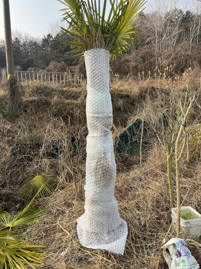 d54ba5365eafe75d1a33059e6006b50b_1765194