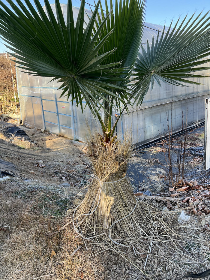 d54ba5365eafe75d1a33059e6006b50b_1765195