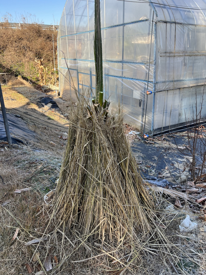 d54ba5365eafe75d1a33059e6006b50b_1765195