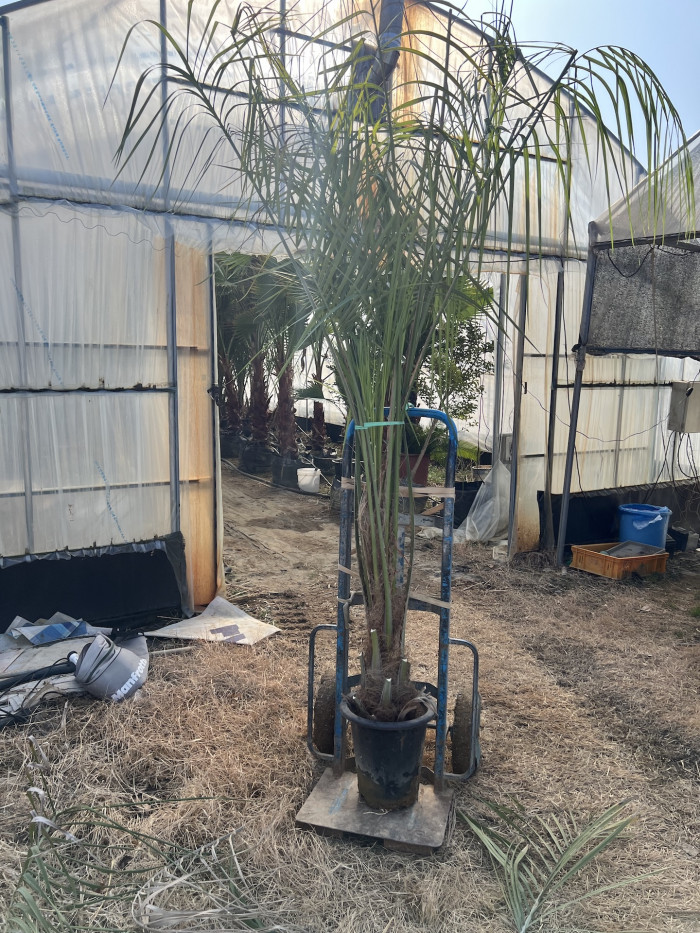 591c46ca5bad9d07cd9842d18f3901b1_1771931