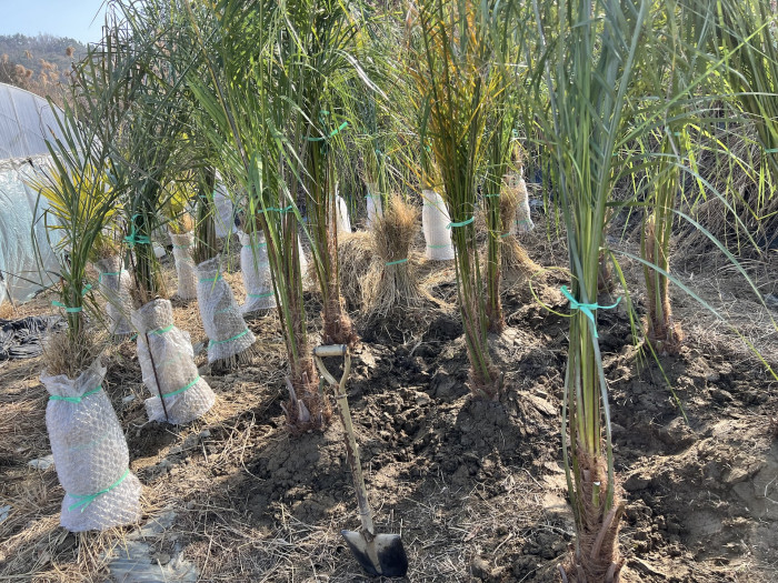 591c46ca5bad9d07cd9842d18f3901b1_1771931