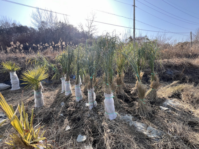 591c46ca5bad9d07cd9842d18f3901b1_1771931