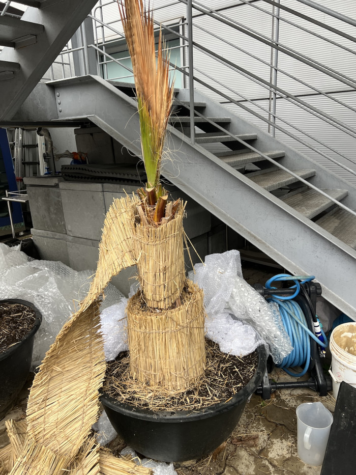 591c46ca5bad9d07cd9842d18f3901b1_1773828