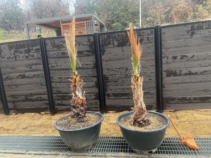 591c46ca5bad9d07cd9842d18f3901b1_1773828