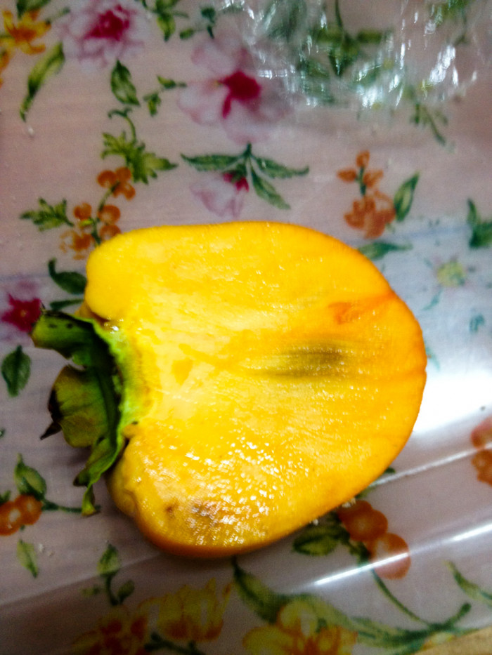 감나무 - Diospyros kaki Thunb.
