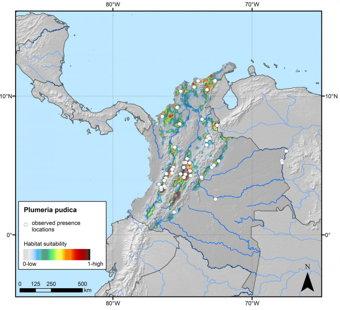 Plumeria pudica 서식지