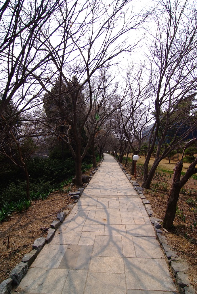 벽초지 수목원 풍경