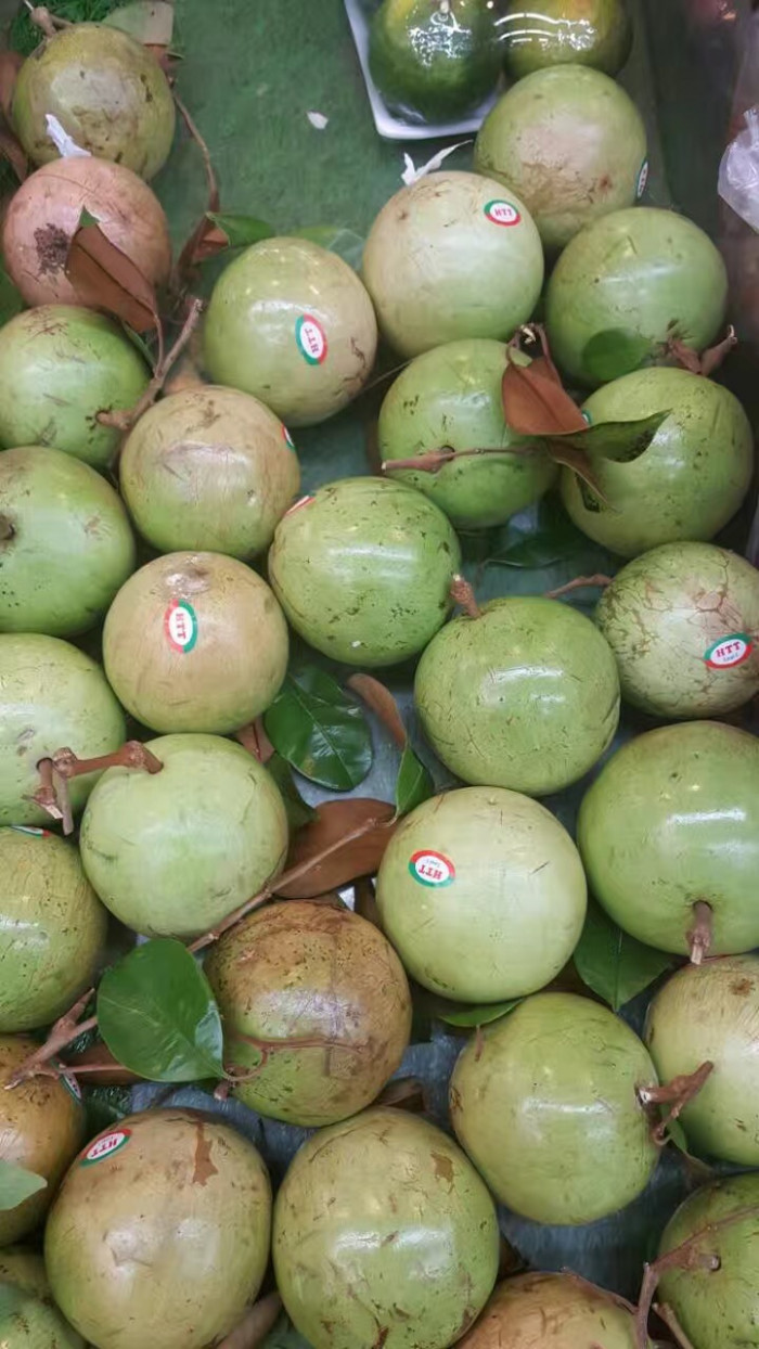 스타애플 - Star Apple, Chrysophyllum cainito