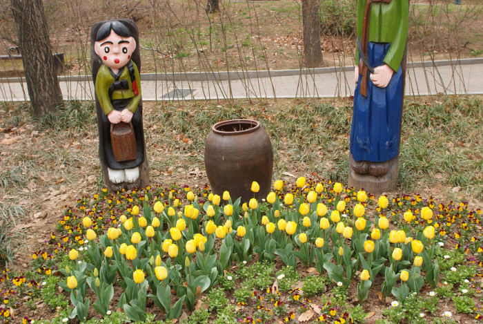 튤립 - Tulip, Tulipa gesneriana