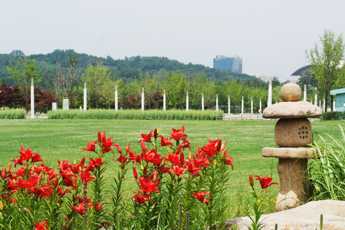 백합 - Lily, Lilium longiflorum Thunb.