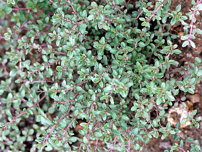 실버타임 사진 -  Photos